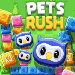 Match 3 cute animals to make it to the next level and beat your own highscore!